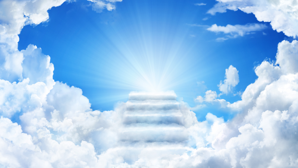 Space wanted: Dead or Alive