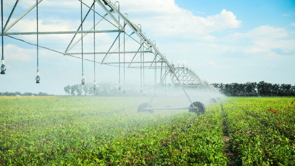 Growing Smarter: How innovation helps grow food sustainably