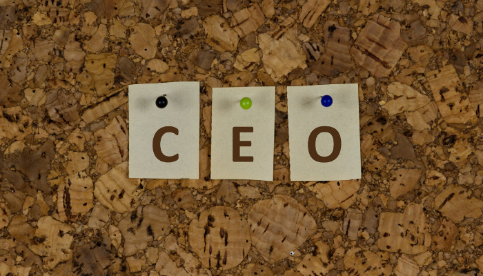 Can a New CEO Really Make a Difference?